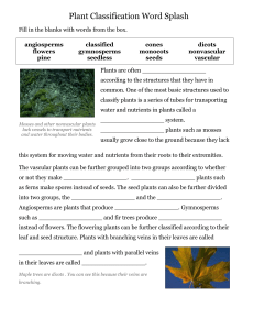 PlantClassification Word Splash