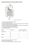 REVISION QUESTIONS ON THE HUMAN DIGESTIVE SYSTEM