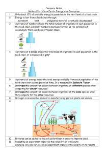 Energy in an Ecosystem Summary Notes