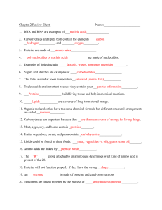 Chapter 3 Review Questions