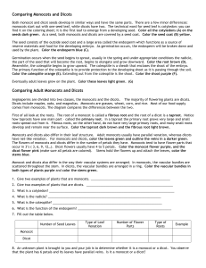 Monocot and Dicot Identification 2017