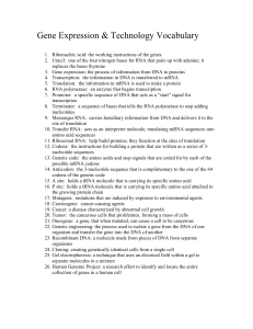 Gene Expression Vocabulary