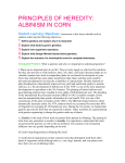 bsaa albinism in corn worksheet