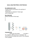 DNA AND PROTEIN SYNTHESIS