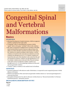 congenital_spinal_and_vertebral_malformations