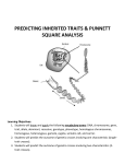 03 Inheritance booklet for.2015