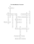 Tree Identification Crossword