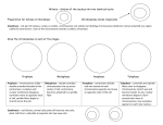 Mitosis – division of the nucleus into two identical nuclei Preparation