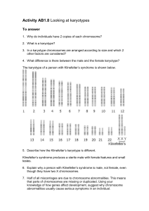 Looking at karyotypes