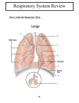Part 1. Label the Respiratory Parts Part 2. True or False