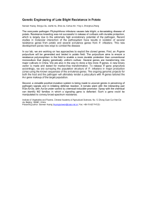 Genetic Engineering of Late Blight Resistance in Potato