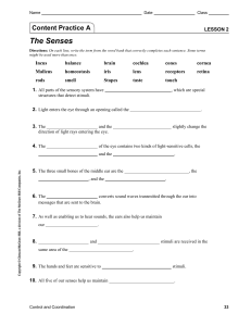 Lesson 2 | The Senses