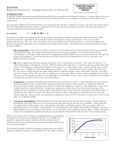 HANDOUT- Enzymes! (Enzyme Reaction Rates)