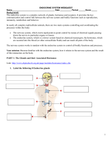 ENDOCRINE SYSTEM WEBQUEST