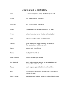 Circulation Vocabulary