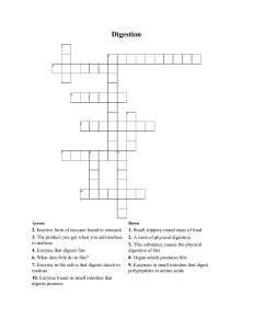 Digestion - Crossword Labs