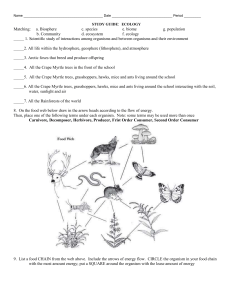 Name Date Period ______ STUDY GUIDE: ECOLOGY Matching: a