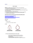 Lecture 5 Heart Sounds