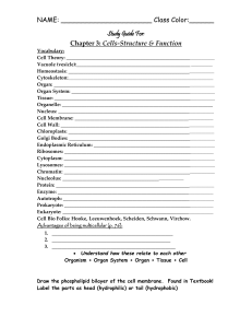 cells-study-guide