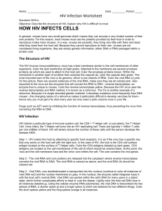 HIV Infection Worksheet