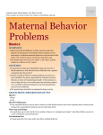 maternal_behavior_problems