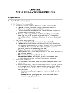 TABLE OF CONTENTS