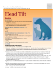 head_tilt