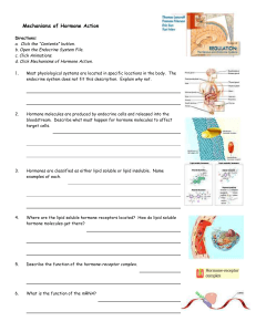 Endocrine System: Overview