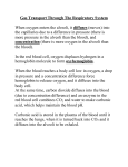 Gas Transport Through The Respiratory System