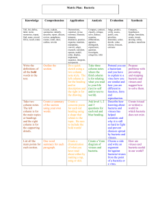 bacteria-matrix