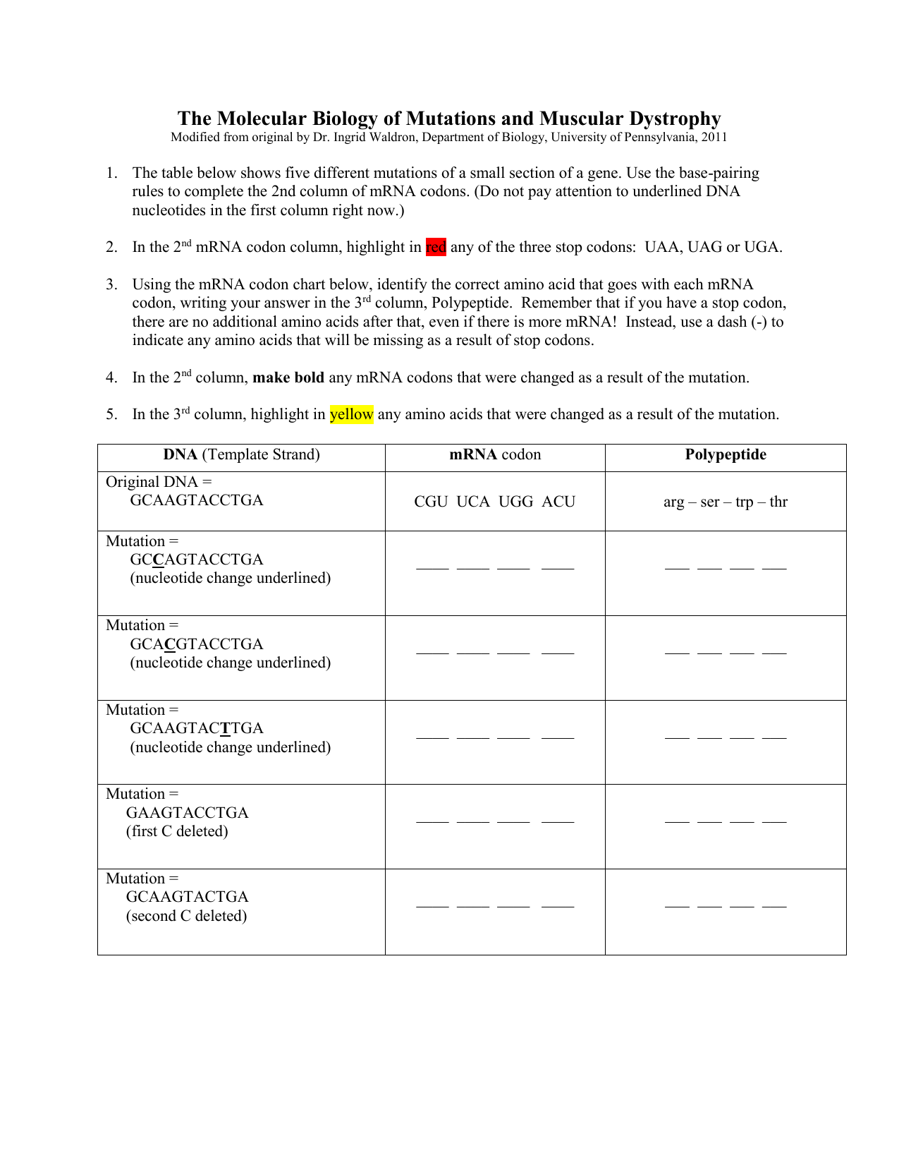 biology-dna-mutation-simulation-answer-key-genetic-mutations-worksheet-answer-key-this