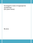 Investigative study of angiosperms morphology - Bij Javia