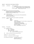 Chapter 30 Plant Diversity II: The Evolution of Seed Plants seed