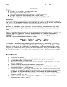 Enzyme Lab - Lessons-Worksheets-and-Such