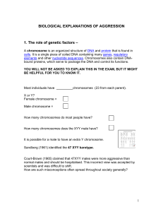 ACTIVITY - genetic factors in aggression File