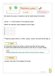 Science 5th primary 1st term unite 2 lesson 2 Man requires the