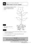 Photosynthesis Pupil Task File