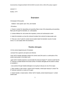 neurology_lec11_24_4_2011