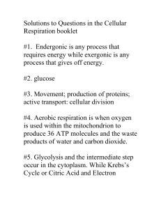 Solutions to Questions in the Cellular Respiration booklet