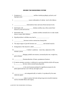 review the enodcrine system