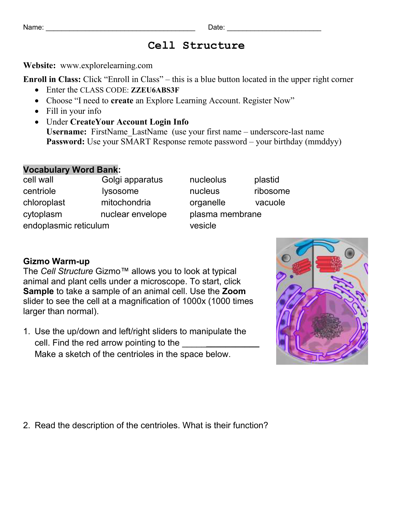 Cell Types Gizmos C Answer Key / Gizmo Cell Structure Worksheet Answers Printable Worksheets And ...