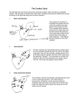 The Cardiac Cycle
