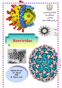 Reoviruses - KSU Faculty Member websites