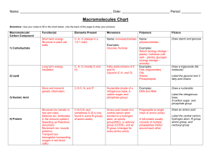 Name - MsOttoliniBiology