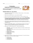 3 - Prokaryotes - Bacteria and Archaea - kyoussef-mci