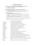 Cytology Basics Review