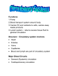 Functions Pump Blood transport system around body Carries O2