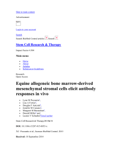 Equine allogeneic bone marrow-derived mesenchymal stromal cells