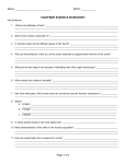 hair/fiber evidence worksheet