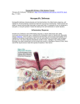 Nonspecific Defense of the Immune System